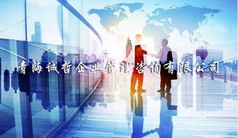 玉樹(shù)正規(guī)企業(yè)管理咨詢(xún)服務(wù)新報(bào)價(jià) 誠(chéng)哲供應(yīng)專(zhuān)業(yè)推薦